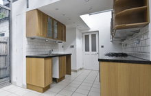 Reddicap Heath kitchen extension leads